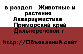  в раздел : Животные и растения » Аквариумистика . Приморский край,Дальнереченск г.